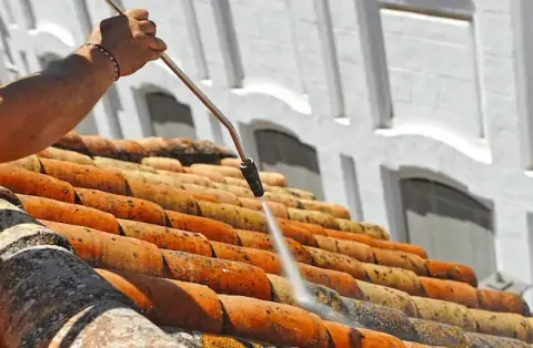 Nettoyage de toitures - Vibeuf